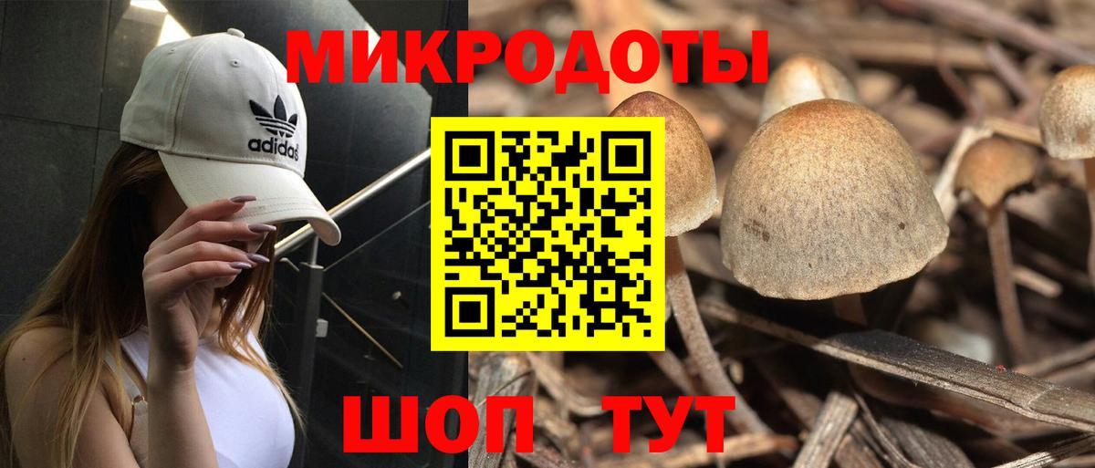 Псилоцибиновые грибы мухоморы  Вход с VPN  Курчалой 